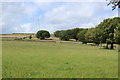 Fields near Llwyn-arfon