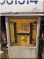 SH7978 : Hydrant marker on Victoria Drive, Llandudno Junction by Meirion