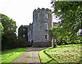 O0035 : Castles of Leinster: Leixlip, Kildare by Garry Dickinson