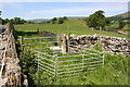 SD9689 : Sheepfolds on north side of A684 by Roger Templeman