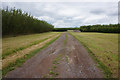 Path near Black Dyke, Beech Tree Farm