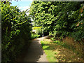 Path along brook, Maidenbower