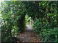 Path along brook, Maidenbower