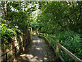 Path along brook, Maidenbower