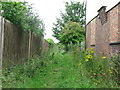 Public Footpath Near Seaton Delaval