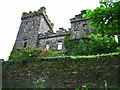 W3372 : Castles of Munster: Macroom, Cork (2) by Garry Dickinson