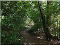 Footpath from old railway to Maidenbower Drive