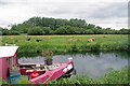 Boats & Highland Cattle