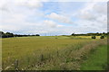 Arable Land at Kilmarnock