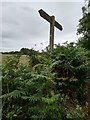 Signpost near East Stoke, Dorset