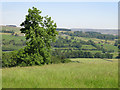 Farmland above Aller Gill Cottage