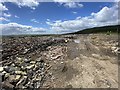 Track through rubble