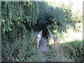 Footbridge near Bottom Farm