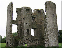 N7760 : Castles of Leinster: Moymet, Meath (1) by Garry Dickinson