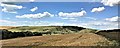 View west towards Litlington White Horse