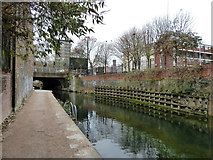 TQ3681 : Limehouse Cut by Robin Webster