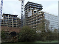 Building flats, Bow Common, 2010