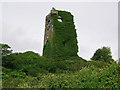 W1932 : Castles of Munster: Raheen, Cork (2) by Garry Dickinson