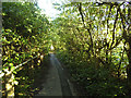 Path alongside the Leeds ring road near Dawson