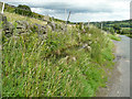 Water trough, Royd Lane, Thurlstone