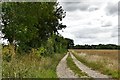 Pakenham: Farm track