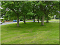 Grass patterns, Otley Old Road