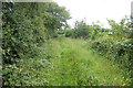 Path towards minor road east of Sandwood Cottage