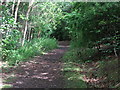 Path, Silverlink Biodiversity Park, Shiremoor