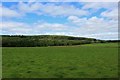 Dunbennan Wood