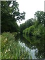 The Grand Western canal near Westcott