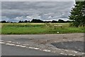 Bradfield St. Clare:  Elm Green Lane with the water tower in the left distance