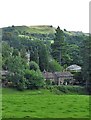 View to Danebridge and Roach End