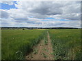 Footpath to Swineshead