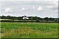 Cockfield: Looking towards 