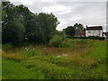 Village pond, Sinton Green, Worcestershire