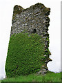 W6348 : Castles of Munster: Ringrone, Cork (2) by Garry Dickinson
