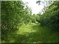 Bridleway between Epperstone and Halam