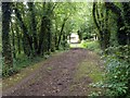 Woodland ride near Holly Beck House