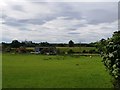 Horses in a field near Little Eastbury, Worcestershire