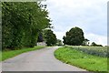 Cockfield: Track leading to New Barn Farm