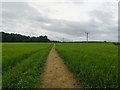 Sheffield Country Walks towards Coal Aston