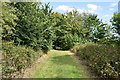 Track onto Hampstead Heath