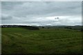 Field of cut grass