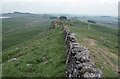 NY7768 : Hadrian's Wall Path on Hotbank Crags by Philip Halling