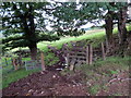 Llwybr ger Gelliwrog / Path near Gelliwrog