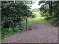 Llwybr i Ystalyfera / Path to Ystalyfera