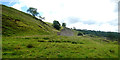 NZ0902 : Hillside above the Orgate bridleway by Andy Waddington