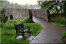 H4772 : Path and footbridge, Cranny by Kenneth  Allen