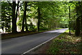 Road between Ringwood Forest and Somerley Park