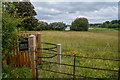 Chew Stoke : Grassy Field